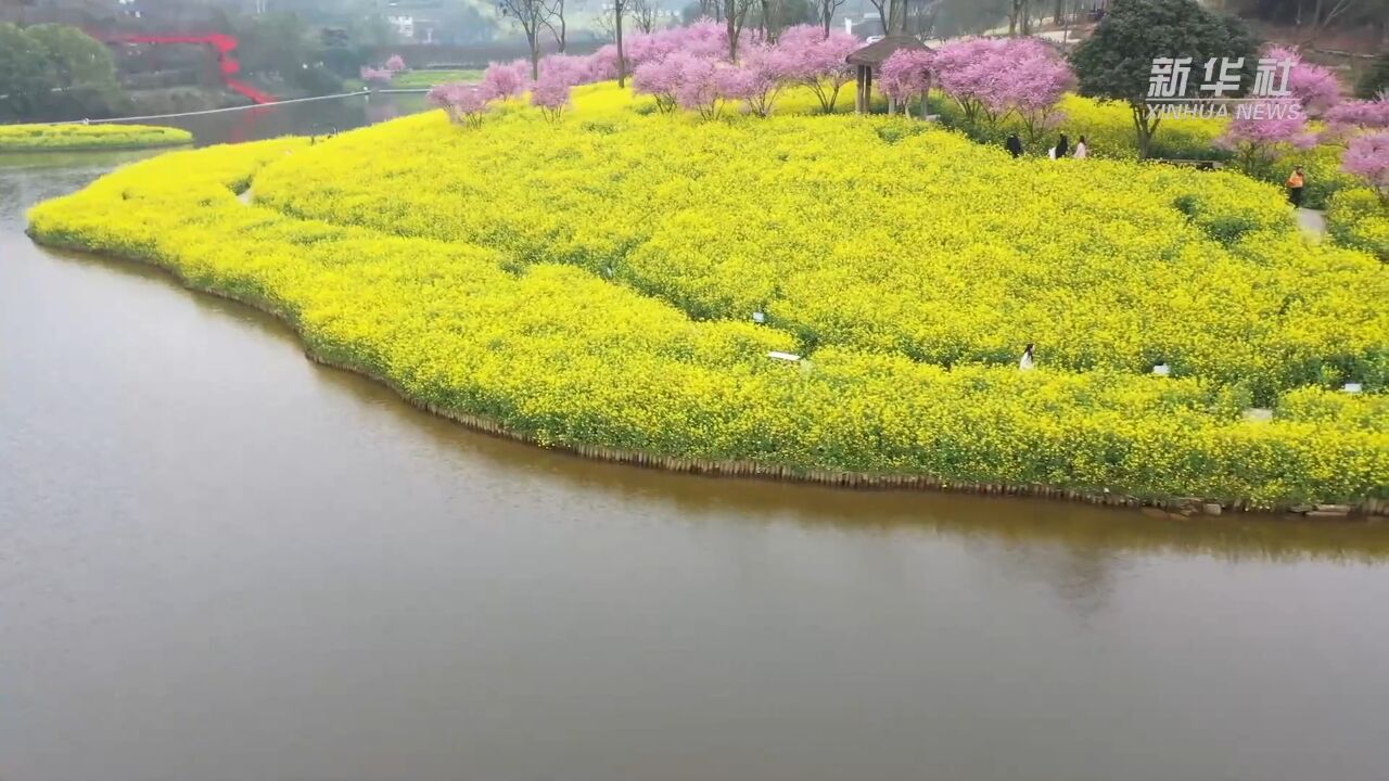 重庆:暖风微拂 花开大地