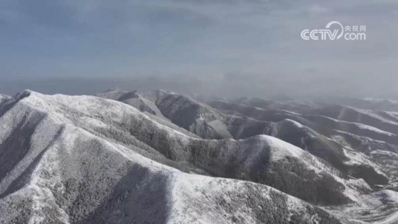 宁夏固原:雪过天晴,六盘山美景如画