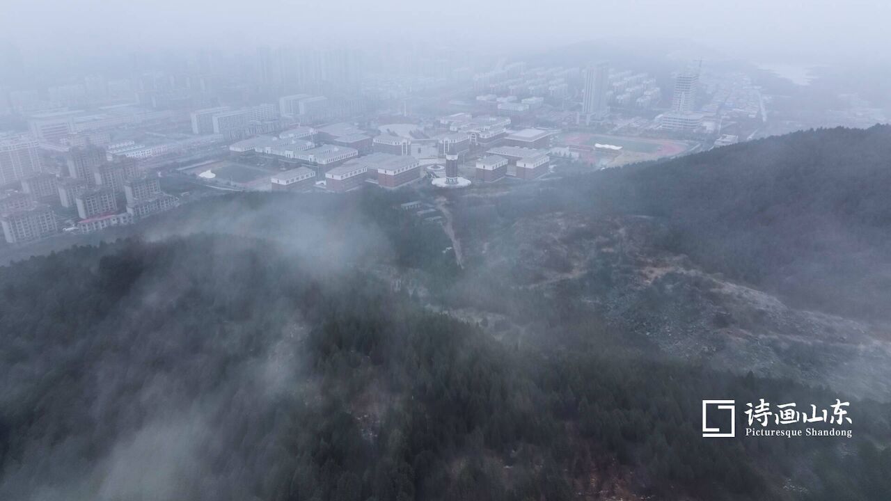 诗画山东丨雨后枣庄现平流雾景观 气象万千宛如仙境