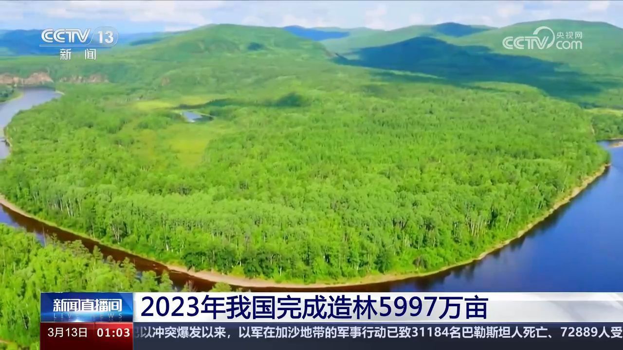 2023年我国完成造林5997万亩 2024年计划完成国土绿化任务1亿亩