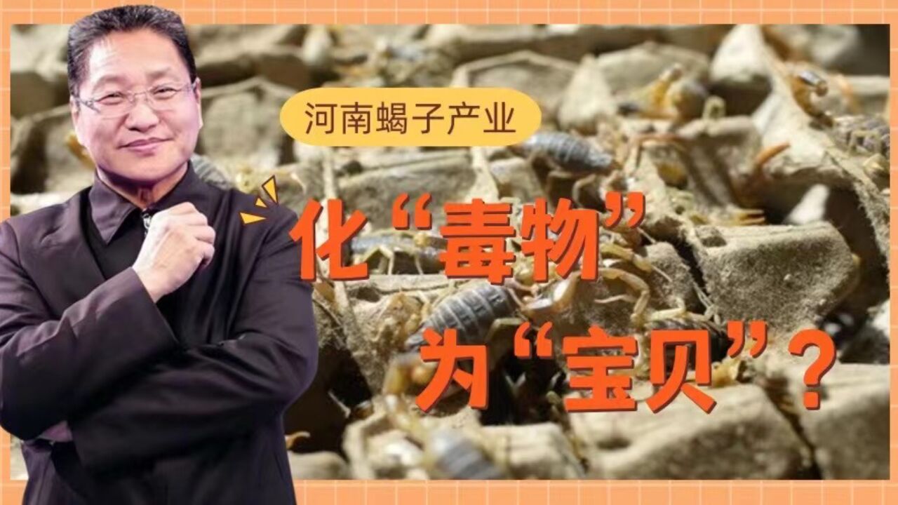 蝎子产业:化“毒物”为“宝贝”?朱启臻:技术与市场的双重突破