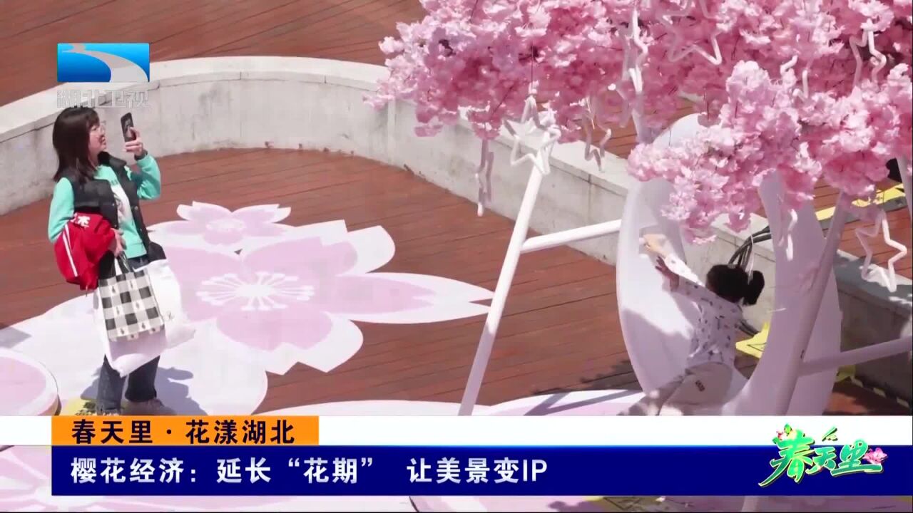 春天里ⷨŠ𑦼𞦹–北 樱花经济:延长“花期” 让美景变IP