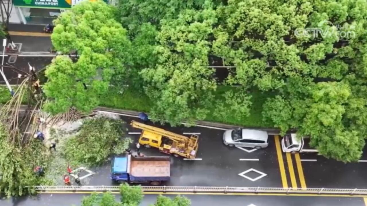 受连续强降雨天气影响,树木倒伏致道路中断,江西寻乌多部门联合清障