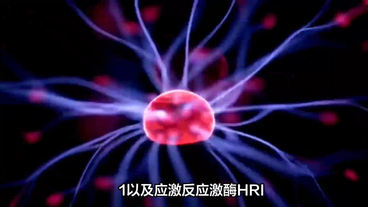 突破性研究:压力过大,真会诱发神经退行性疾病