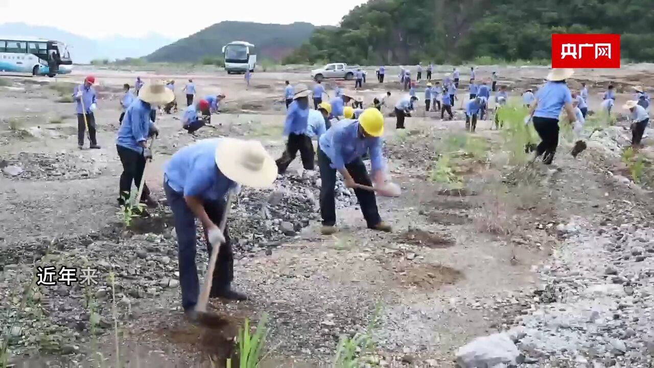 【和美昌江】蹲点记(二):从“生态之脆”到“青山之翠”,昌江如何绘就高质量发展的绿色画卷?