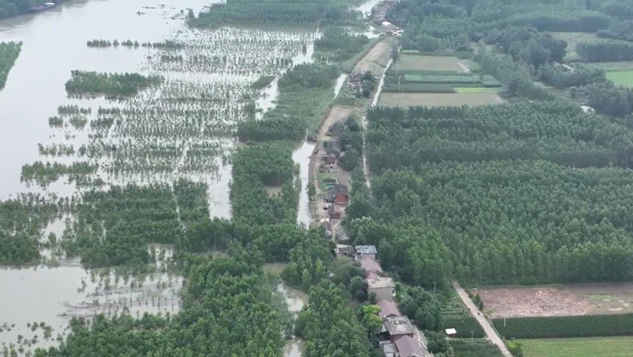 长江安徽无为段超警戒水位!江心洲群众有序转移避险