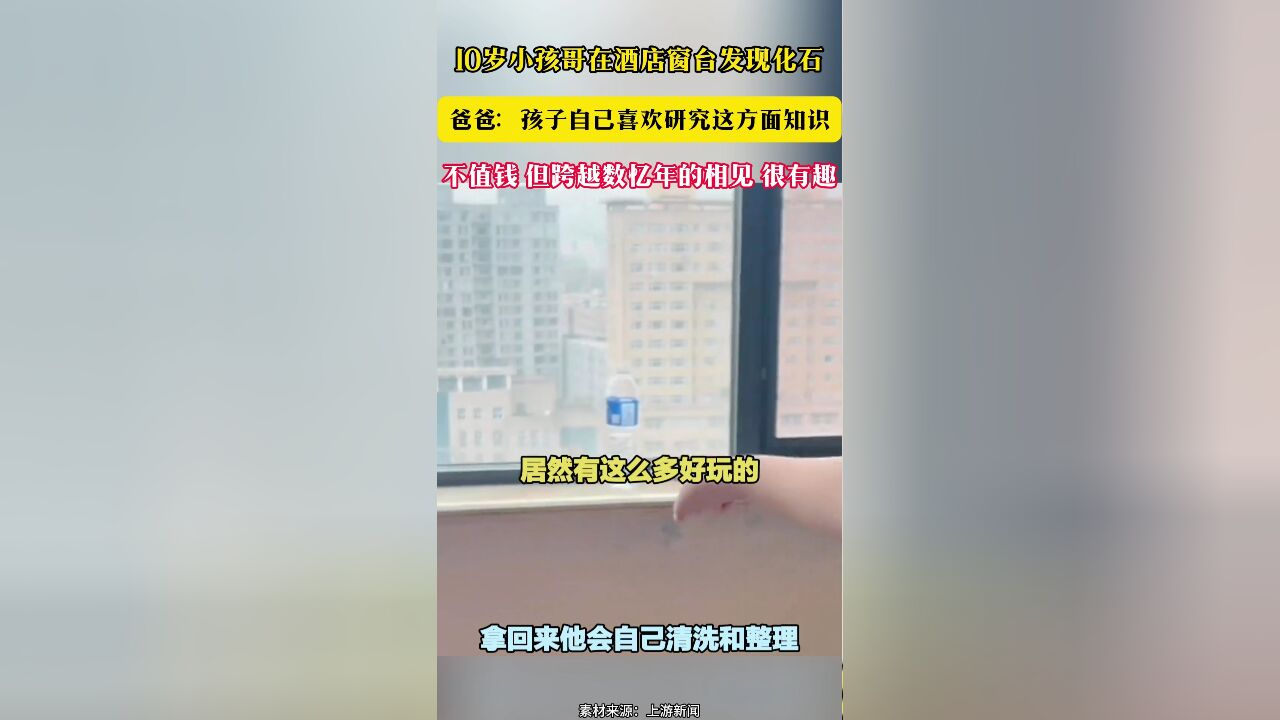 10岁小孩哥在酒店窗台发现化石 爸爸:孩子自己喜欢研究这方面知识 不值钱 但跨越数忆年的相见 很有趣