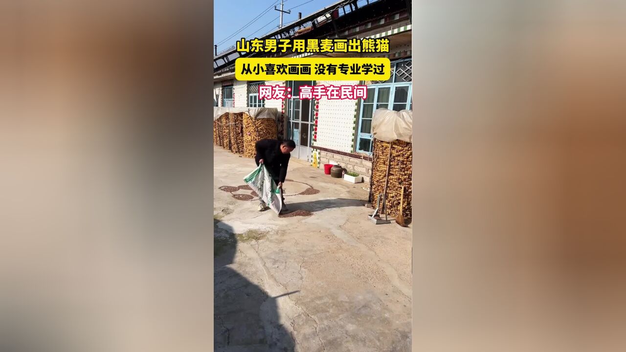 男子用黑麦画出熊猫,真是高手在民间啊