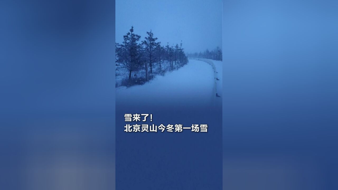 雪来了!看北京灵山今冬第一场雪