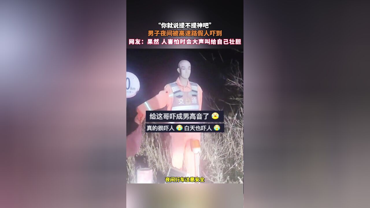 “你就说提不提神吧”,男子夜间被高速路假人吓到,网友:果然 人害怕时会大声叫给自己壮胆