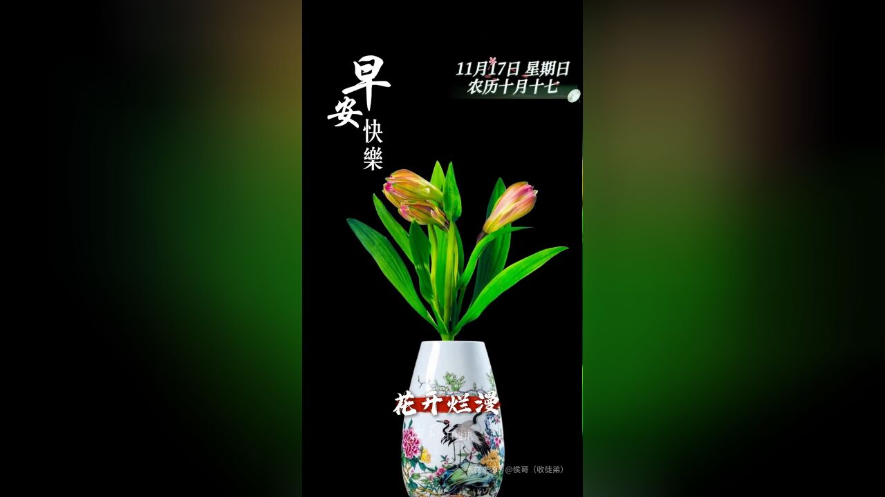 花开烂漫,问候常在.新的一天开始,祝您和家人顺心顺意