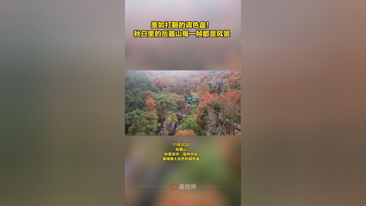 美如打翻的调色盘!秋日里的岳麓山每一帧都是风景