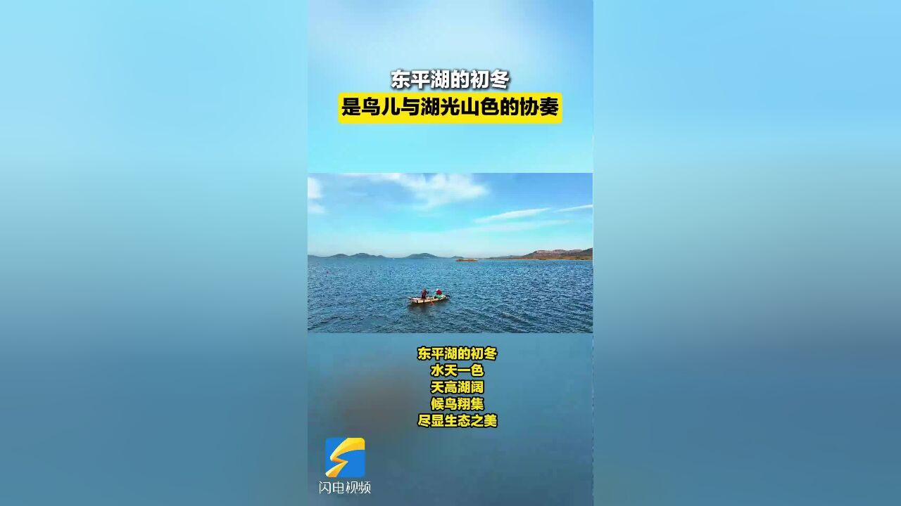 东平湖的初冬 是鸟儿与湖光山色的协奏