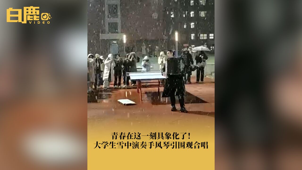 大学生们站初雪里拉手风琴唱歌