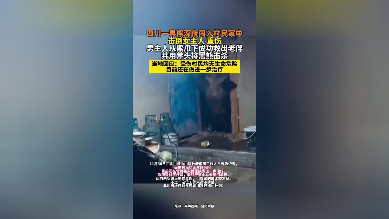 黑熊深夜闯入村民家击倒女主人,男主人从熊爪下成功救出老伴,用斧头击杀