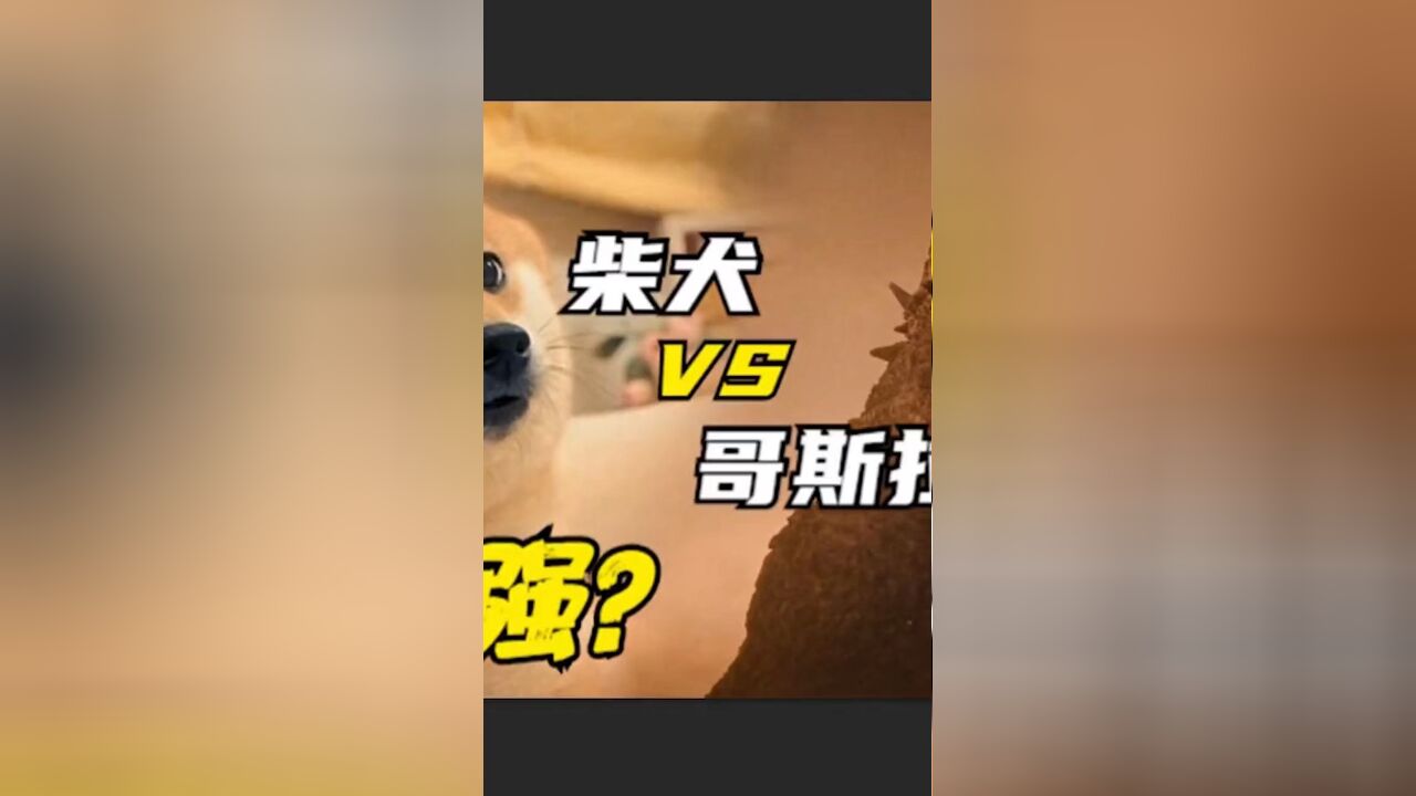 日本柴犬 VS 哥斯拉,谁更强?