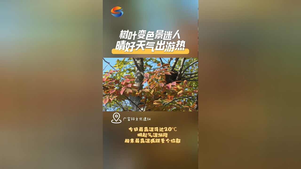 树叶变色景迷人,晴好天气出游热