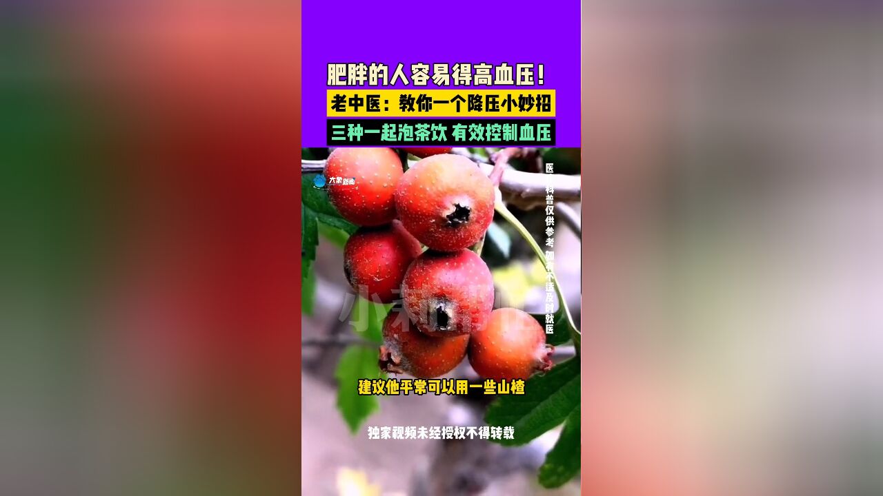 肥胖的人容易得高血压!老中医:教你一个降压小妙招 三种一起泡茶饮 有效控制血压