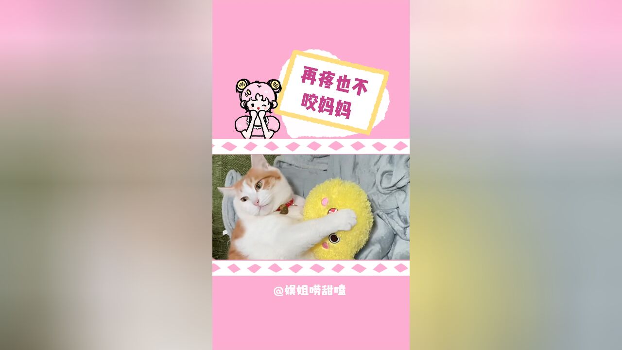 小猫乖痛痛飞妈妈爱