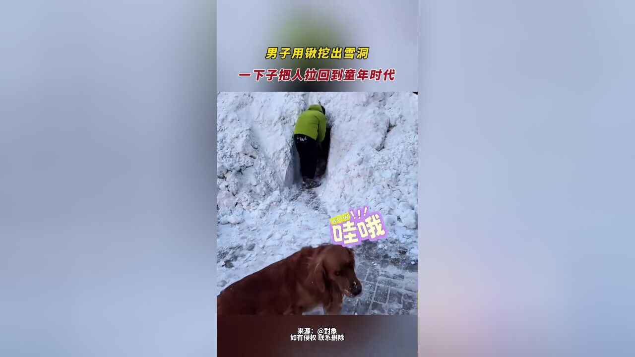 男子用锹挖出雪洞,瞬间回到童年时代,网友:好想去东北体验