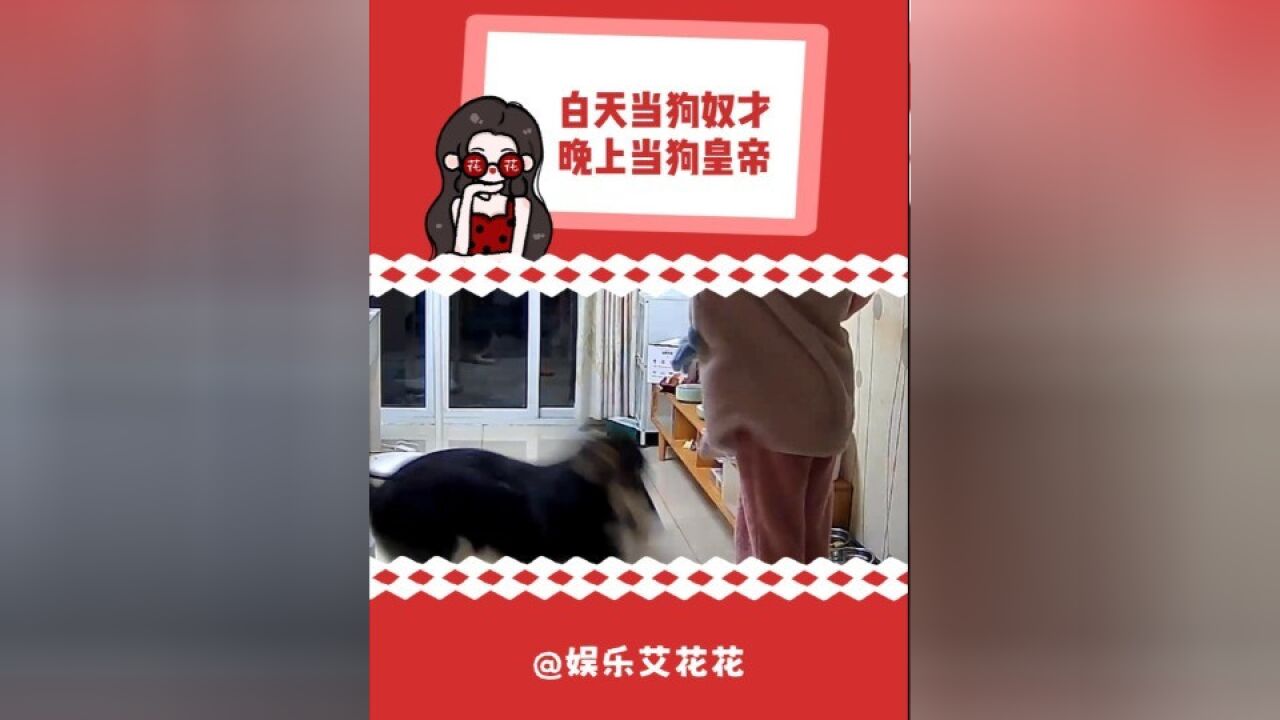 大妹子,听得我都想给你跪下