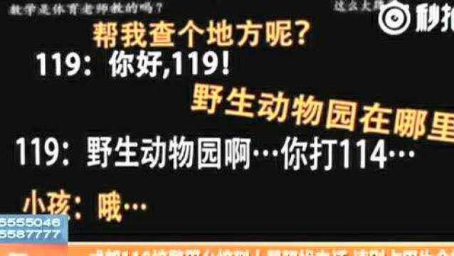 成都119接警平台接到大量骚扰电话 请别占用生命热线