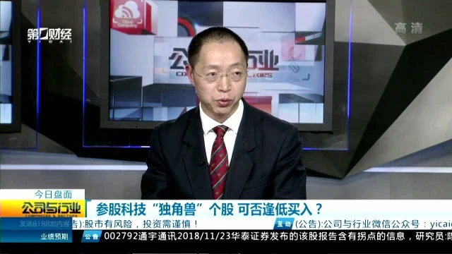 参股科技“独角兽”个股 可否逢低买入?