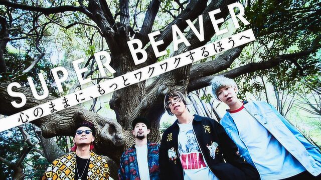 SUPER BEAVER《予感》(《我们由奇迹构成》日剧主题曲)