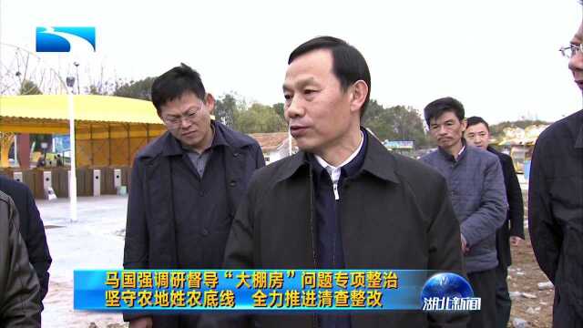 马国强调研督导“大棚房”问题专项整治 坚守农地姓农底线 全力推进清查整改