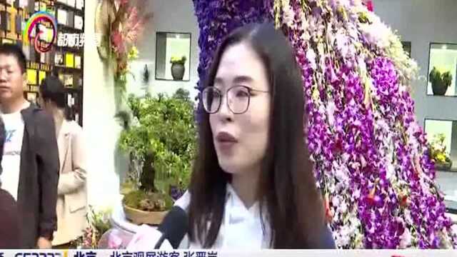 2019北京世园会:展示“植物王国”的特色园艺 邀世界共享绿色云南