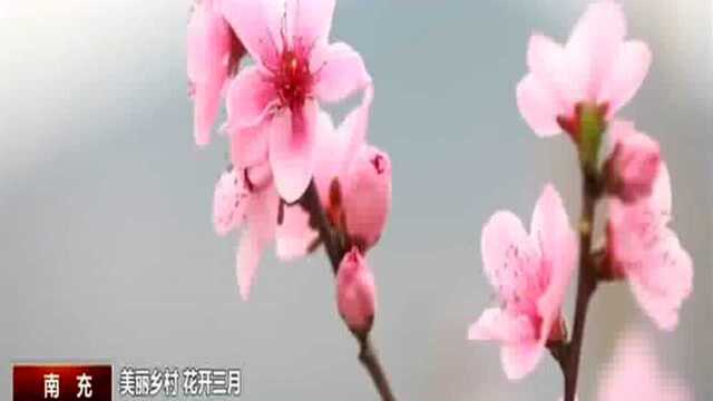 李花白 桃花红 春色满园香仪陇