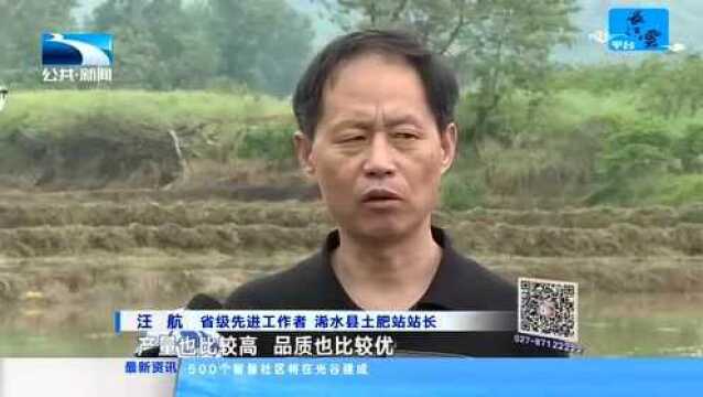 汪航:我当“土壤医生”20年