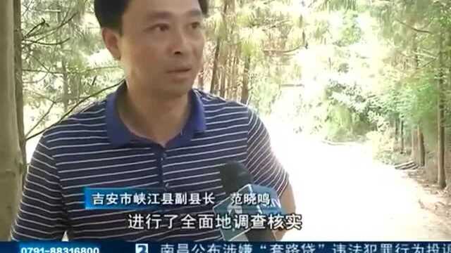 吉安峡江:养猪场乱排污已清栏退养 纪委监委启动问责