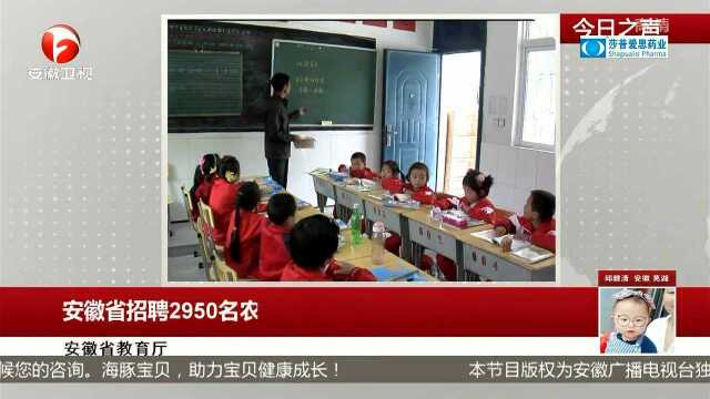 安徽省招聘2950名农村特岗教师