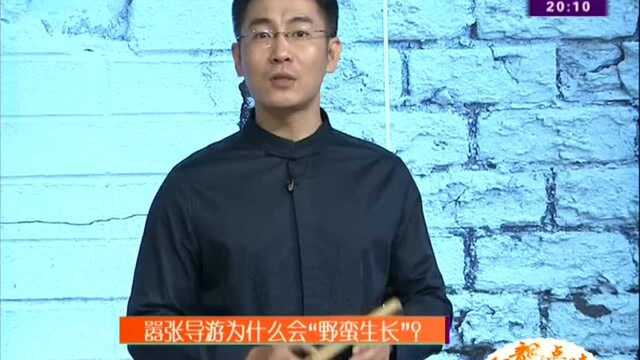 嚣张导游为什么会“野蛮生长”?