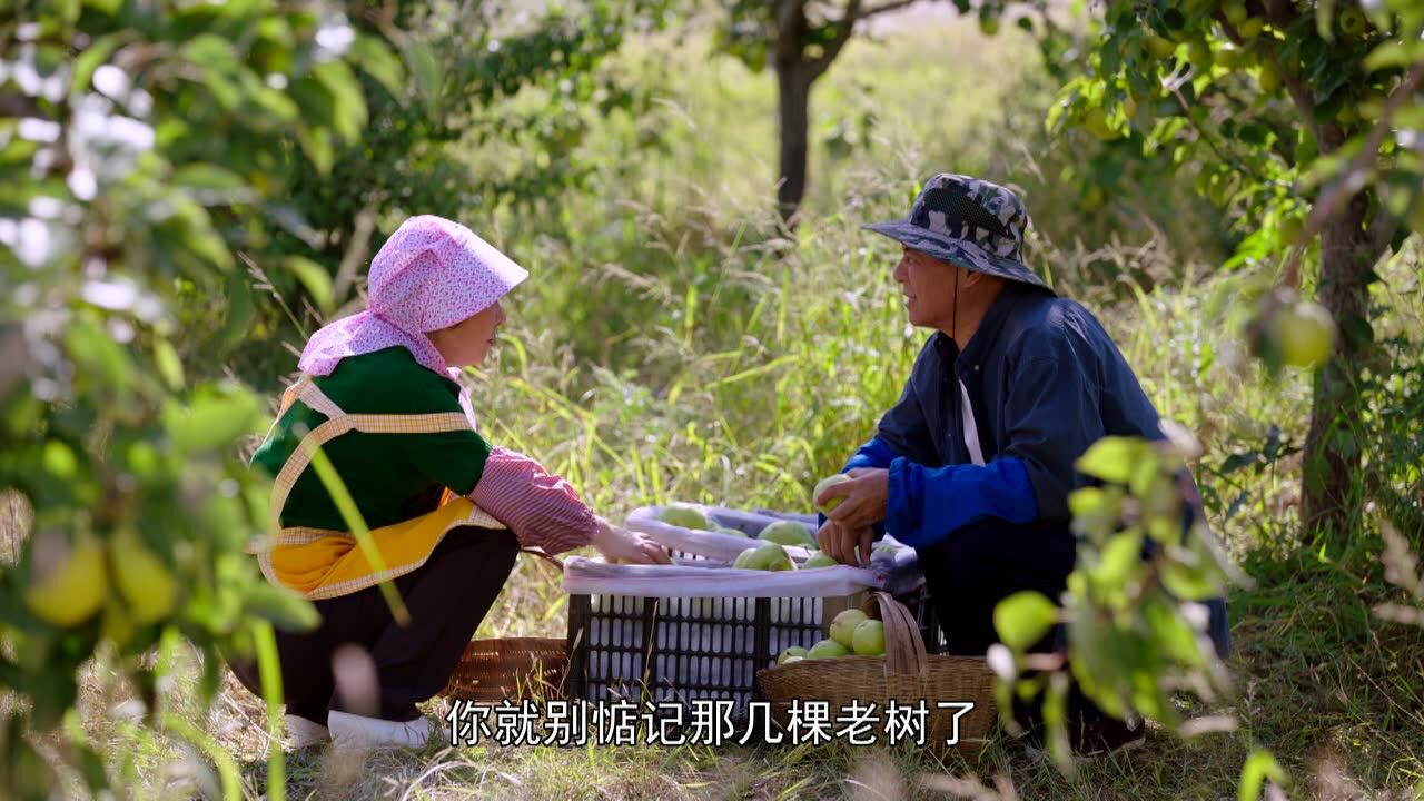 《一个都不能少》第21集精彩片花