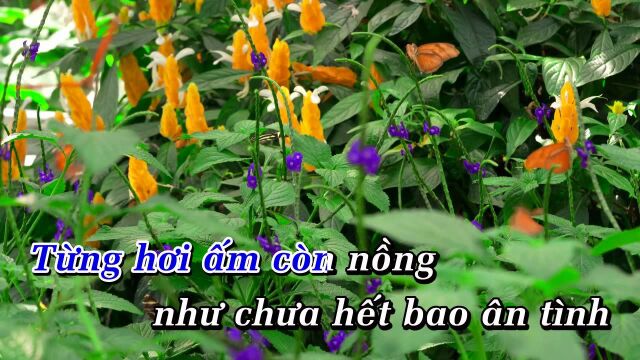 Chấm Dứt