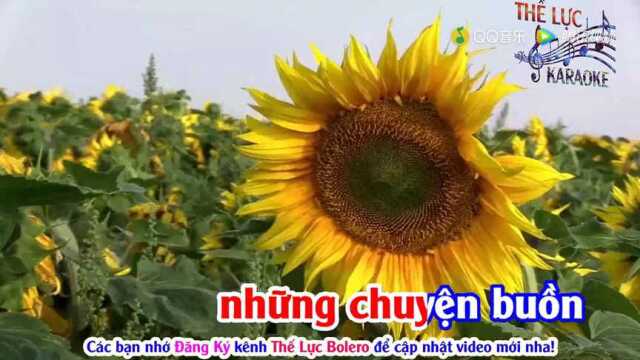 T㢭 Sự N㠮g Xu㢮  Tone Nữ