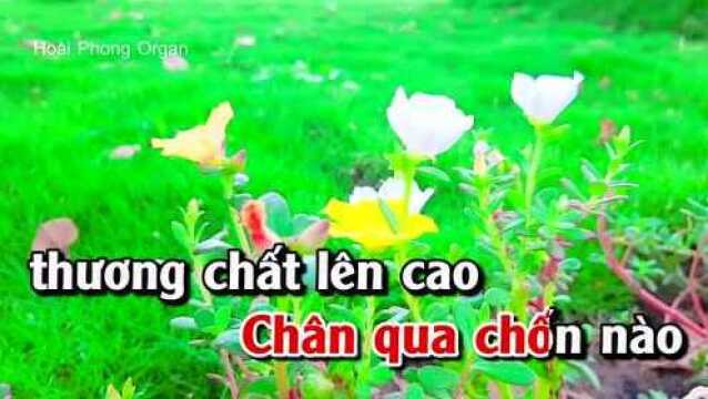 䐡𛃠Trả Lời Một C㢵 Hỏi  Tone Nữ