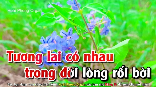 Vọng Kim Lang  Tone Nữ