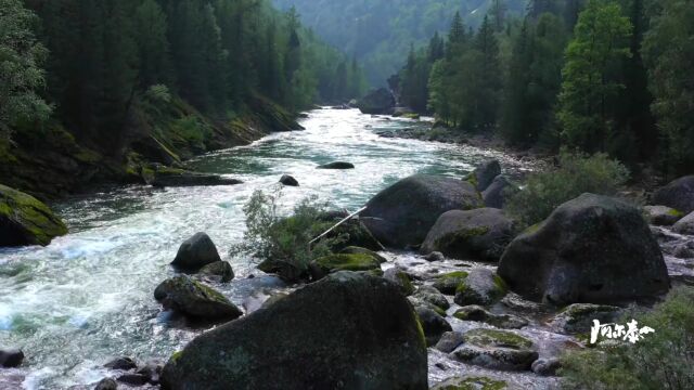 在额尔齐斯河寻找酷似山水国画的包浆奇石