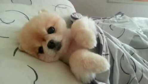 Thumbplayer Poster Plugin Image