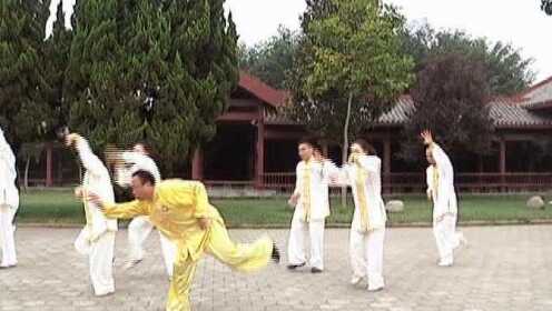 Thumbplayer Poster Plugin Image