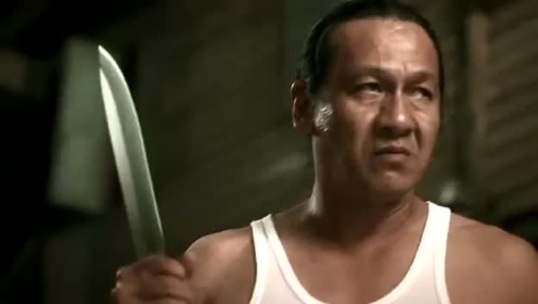 Thumbplayer Poster Plugin Image