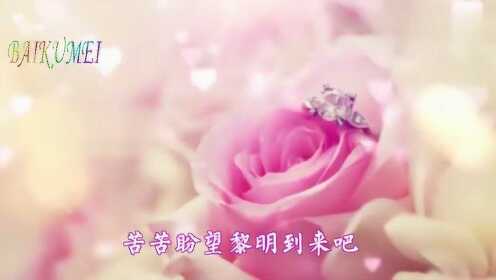 520情人节，一首情歌送给天下有情人，愿一生一世永远不分离 - 腾讯视频