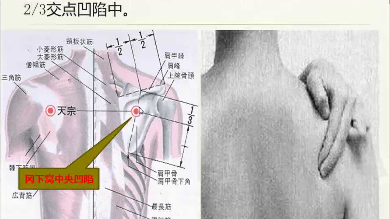 天宗穴定位法_腾讯视频