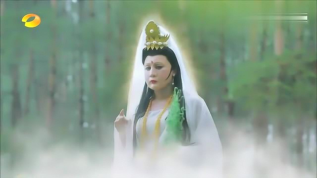 诺一见到观音菩萨一秒跪地参拜刘烨实在忍不住笑了