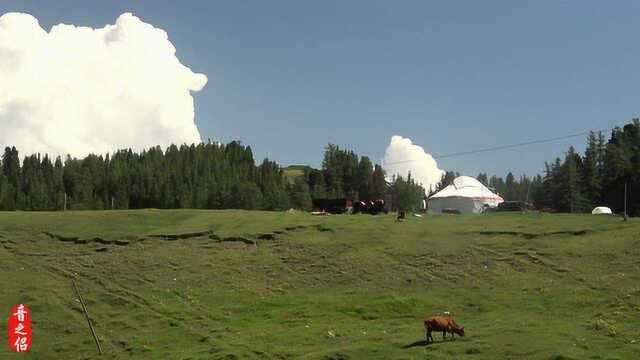 西北游记10:美丽的新疆哈密天山大草原