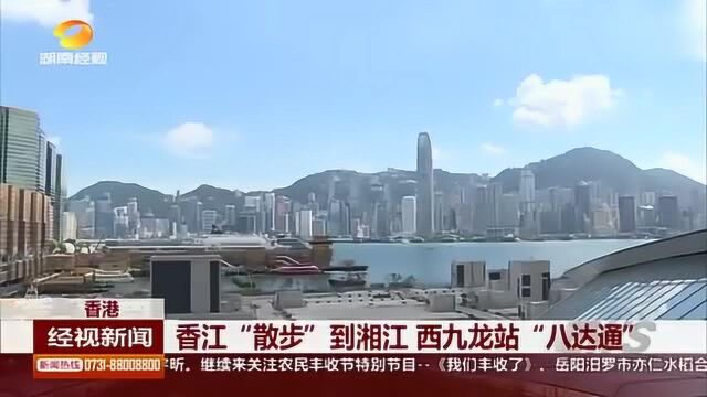 广深港高铁很准时香江“散步”到湘江西九龙站“八达通”