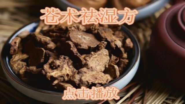 “苍术”是祛湿第一药,中医:加它泡茶喝,湿气3天除根,不复发